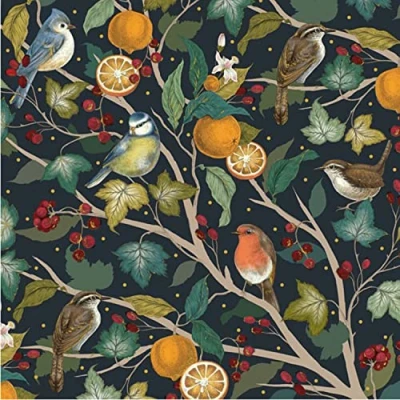 Image of Christmas Card Box. Robins and Oranges. 8 Foiled Embossed Cards. Size 16 x cm Standard Postage