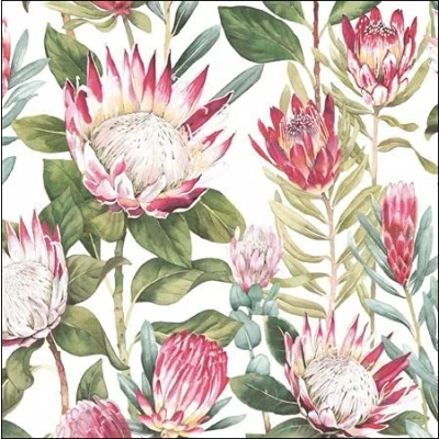Image of Open Artistic Blank Greetings Card from the Sanderson Range by Woodmansterne King Protea for Any Recipient