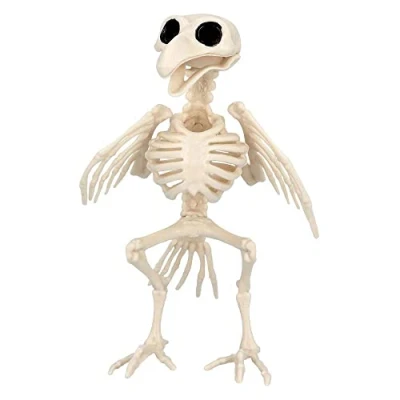 Image of Boland 72406 Bird Skeleton, Beige/Black, Standard Size