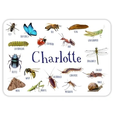 Image of Paper Themes Personalised Placemat for Kids (Insects)