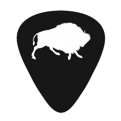 Image of Yifhdes Bison Guitar Picks 12 Pack For Electric Acoustic Mandolin Bass 3 Thickness Plectrums Thin/Medium/Heavy Players