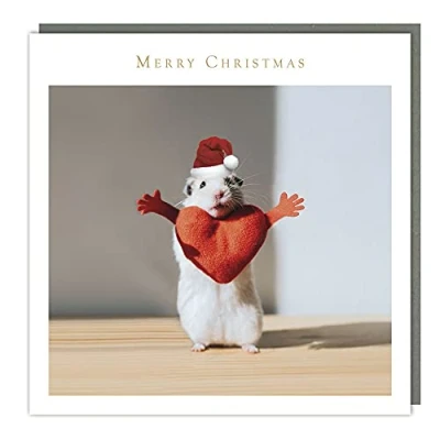 Image of Charity Christmas Cards Love Heart Hamster Foil Embossed Finish Pack 5