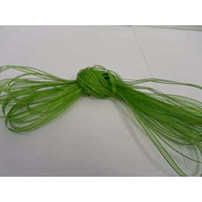 Image of 10 metres of 3mm Sheer Organza Ribbon Leaf Bright Green Double Sided 3 mm