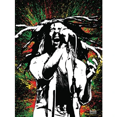 Image of Pyramid International Bob Marley (Paint) Canvas Print 30 x 40cm, Wood, Multi Colour, 40 59 1.3 cm