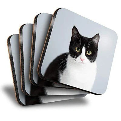 Image of Destination Vinyl ltd Great Coasters (Set of 4) Square Black &amp; White Cat Kitten Pet Drink Glossy Coasters/Tabletop Protection for Any Table Type #15634