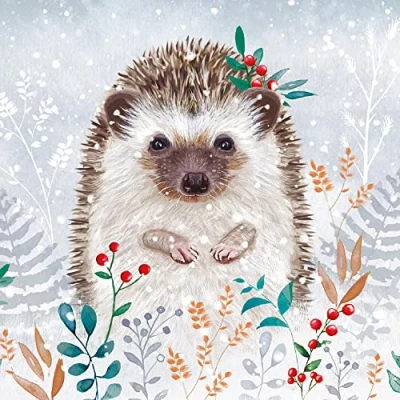 Image of Museums &amp; Galleries Pack of 8 Artistic Charity Christmas Cards Winter Foliage Hedgehog Lovely Animal Illustration by Jane Sunner 1 Design, Multi, 123 x 123mm