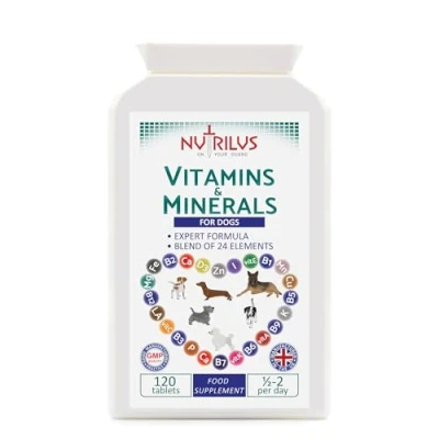 Image of Vitamins and Minerals for Dogs 120 Chewable Chicken Flavour Tablets 24 Vitamins, Microelements Omega 6 Skin, Fur, Heart, Bones, Brain, Energy