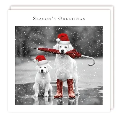 Image of Tracks Publishing Charity Christmas Cards Festive Labrador Dogs in Puddle Eco Friendly Pack of 5
