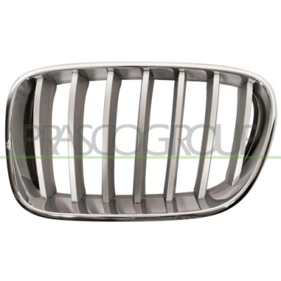 Image of 51117237421 Radiator Grill PRASCO BM8042014 Left Titanium, chrome BMW: X3