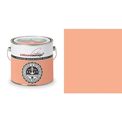 Image of Hossi&#039;s Wholesale Colourcourage Premium Wall Paint Terra de Siena Orange Brown L719778618 Odourless Drip and Splash Resistant 2.5 Litres