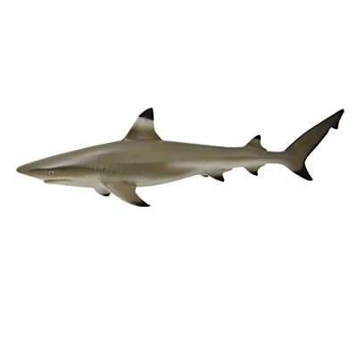 Image of CollectA Blacktip Reef Shark