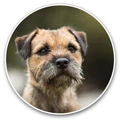 Image of Awesome Vinyl Stickers (Set of 2) 15cm Brown Border Terrier Dog Puppy Fun Decals for Laptops,Tablets,Luggage,Scrap Booking,Fridges #15940