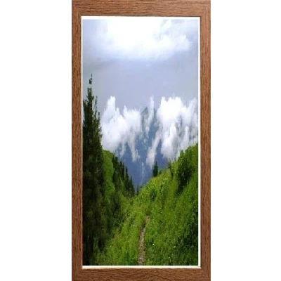 Image of Dark Oak Photo Frames Picture Poster Real Wood Glass Modern Frame 500mm x 1000mm