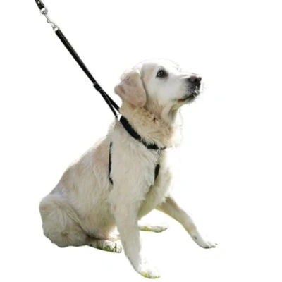 Image of Kerbl Maxi Leader Training Harness Set, Size 2, Black