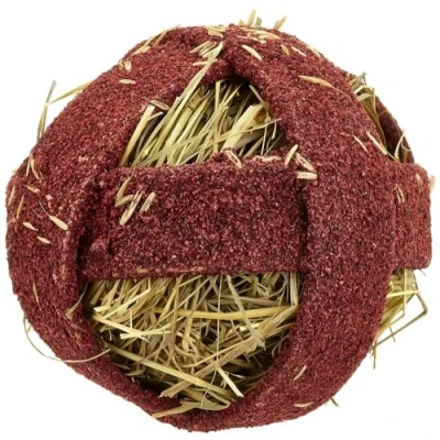 Image of Quiko Fitness Foodball Beetroot 100g Snack and play fun for birds