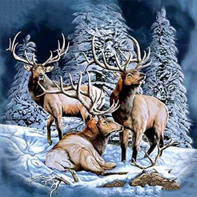 Image of DIY 5D Diamond Art Kits Deers Landscape 30x30cm Large Painting Kit for Adults Full Drill Embroidery Crystal Rhinestone Cross Stitch Craft Canvas Pictures Home Wall Decor (12x12in)