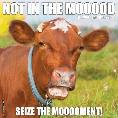 Image of Not In The Mooood Calendar 2026