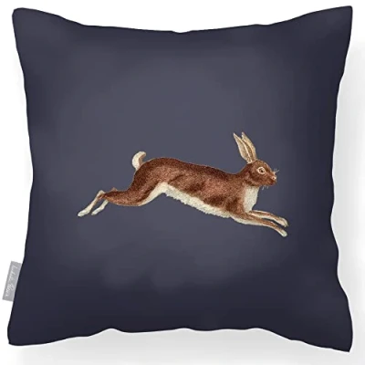 Image of Izabela Peters Outdoor Cushions Waterproof, 43 cm, Filled Cushion, Hare Graphite, Garden Furniture Cushions, Seat Chair
