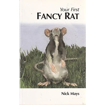 Image of Your First Fancy Rat