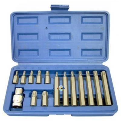 Image of Toolzone 15 Piece Star Bits With 1/2&quot; Adaptor