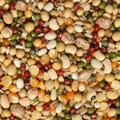 Image of Tidymix Pulse &amp; Rice Soaking Premium Parrot Food (4 kg) For Medium to Large Birds