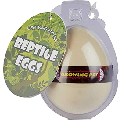 Image of Ravensden Reptile Egg Hatching 8cm Growing Pet