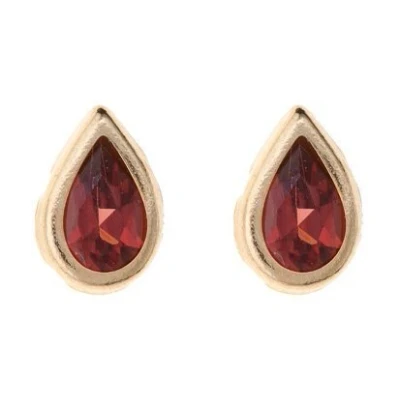 Image of 9ct gold January (garnet) birthstone rubover stud earrings. Gift box