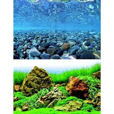 Image of wave Double Background Vision Blister, 60 X 150 cm