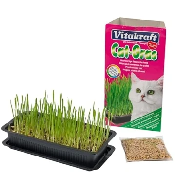 Image of Vitakraft Cat Grass Seed Kit Wheatgrass for Pet, Grow Indoor Treat in Tray 120 Gram (Pack of 6)