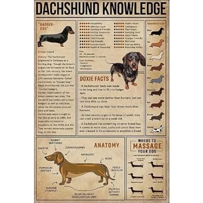 Image of TNND Dachshund Wiener Dog Dachshunds Knowledge Decor Poster Wall Art Metal Sign 8X12 Inches