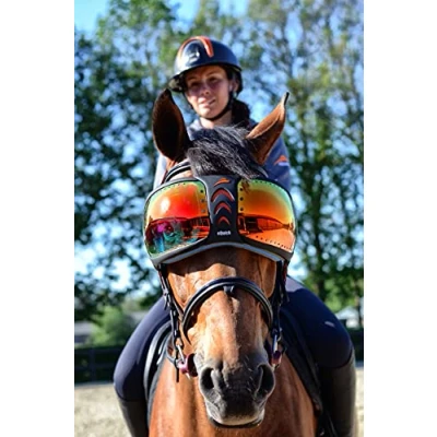 Image of EQUICK eVysor Horse Goggles