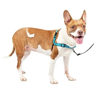 Image of PetSafe Easy Walk Deluxe Harness, No Pull Walking Harness for Dogs, Padded Design, Includes 1.8m Lead, Medium Ocean Blue/Black Lead