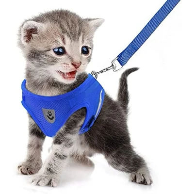 Image of FEimaX Dog Harness and Leash Set, No Pull Reflective Adjustable Pet Vest for Puppy Kitten, Breathable Soft Mesh Fabric, Escape Proof Cat Jacket Outdoor Walking, Training