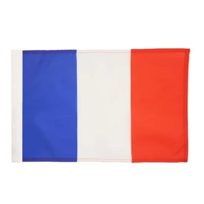 Image of AZ Flag France 18&#039;&#039; x 12&#039;&#039; 100% Polyester French Small Banner with Sleeve Fade Resistant Vivid Colors 18x12 in 45x30 Cm