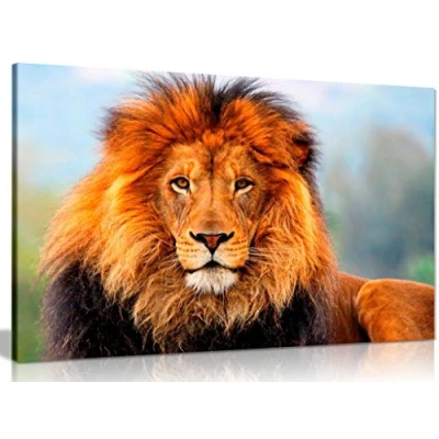 Image of Wild African Lion Canvas Wall Art Picture Print (18x12in)