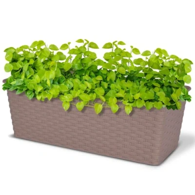 Image of ASAB Rattan Planter Pot Modern Rectangular Resistant Indoor Outdoor Durable Plastic Home Decor (Sand)