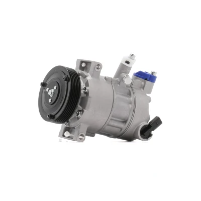 Image of 1K0820808A, 1K0820808AX, 1K0820859H, 1K0820859J, 1K0820859N AC Compressor NRF 32936 PXE14 12V PAG 46 YF R1234yf, R134a with seal ring VOLKSWAGEN: CC
