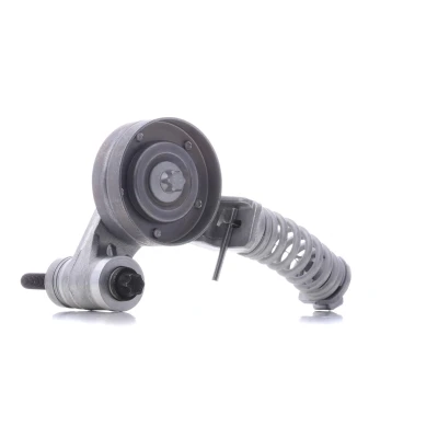 Image of 1340085, 1340267, 1340550, 1340551, 55352021 Tensioner Pulley SKF VKM 35013 VAUXHALL: Corsa Mk1, Insignia Mk1