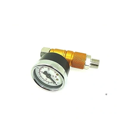 Image of ANI RP/1 air flow regulator with spray gun gauge paint