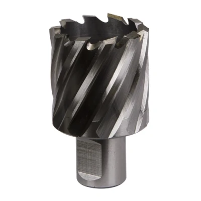 Image of Worksafe Rotabor Cutter HSS Ø37mm Cut Depth 25mm
