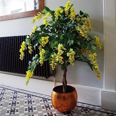 Image of Leaf 120cm Yellow Flowering Wisteria Tree