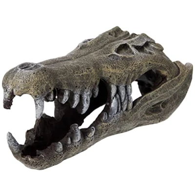 Image of Blue Ribbon Rosewood Nile Crocodile Skull Aquarium Decor, Large,gray