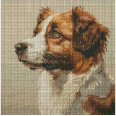 Image of Dog(6) Counted Cross Stitch Kits, 14ct 150x150 Stitch,37x37cm Cotton Dog Kits