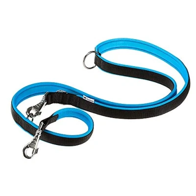 Image of Ferplast ERGOFLUO GA Training Dog Lead 3 Adjustable Lengths Soft Padded Handle Anti Abrasion Italian Design 200 x 1.5 cm, Blue