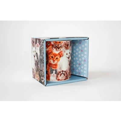 Image of Crazy Cat Lady Mug
