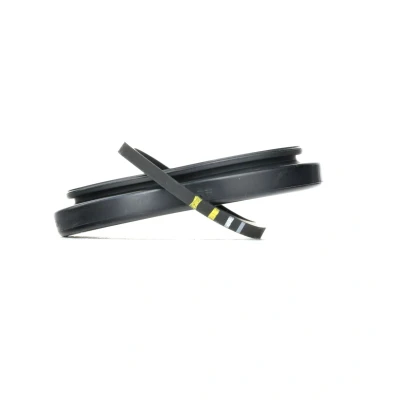 Image of 0407334, 34110407334, 34116769277, 6769277 Brake Caliper Repair Kit TRW SJ1294 54mm MINI: Hatchback, BMW: 1 Coupe