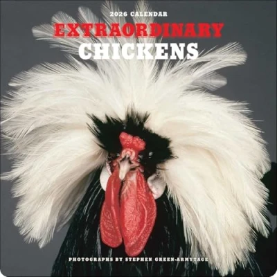 Image of Extraordinary Chickens Calendar 2026