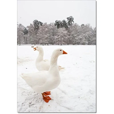 Image of doodlecards Pack of 10 Christmas Cards and Envelopes Wildlife Geese. Printed in UK, Premium Quality &amp; 100% Recyclable.
