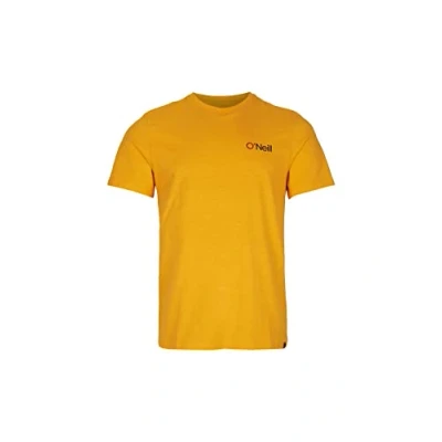 Image of O&#039;NEILL Tees Shortsleeve Sunset T Shirt Shirt, 12010 Old Gold, Regular (Pack of 2) for Men