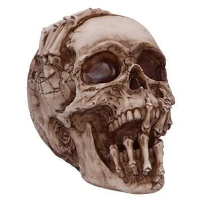 Image of Nemesis Now Officially Licensed James Ryman Breaking Ornament, Skeleton Skull, 20cm